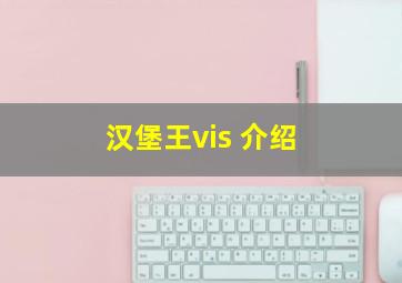 汉堡王vis 介绍